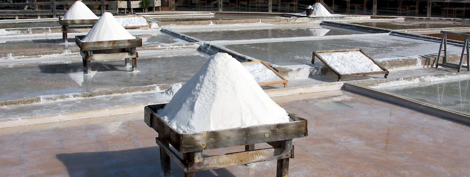Salinas de Rio Maior